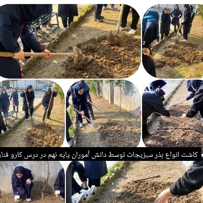 کاشت انواع سبزیجات 